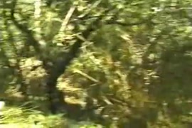 سكس افغاني كس مشعر