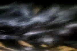 كلاب تعاشر الحريم سكس