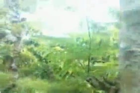 Xnxx لحس خرم الطيز وظرط