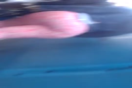 صور هيفاء وهبي ملط زلط