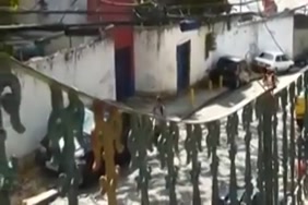 مقاطع سكس حيوانات في المنزل