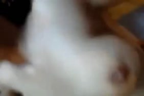 سكسي كبار السن مجاني