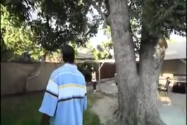سكس بلدي فيس بوك