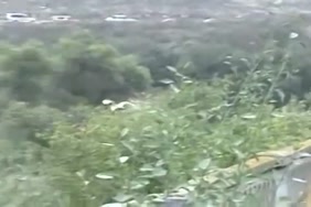 صوركس يقذف متحرك